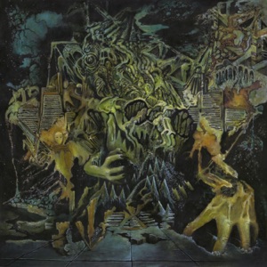 Pochette de Murder of the Universe